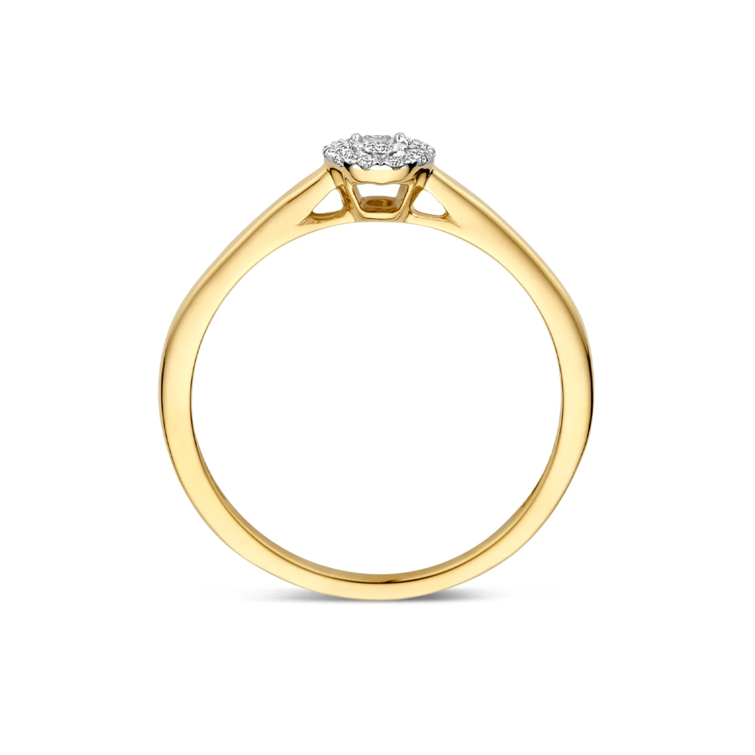 Blush Natural Diamonds 14 karat gold Ring 1678BDI/54 - Image 3