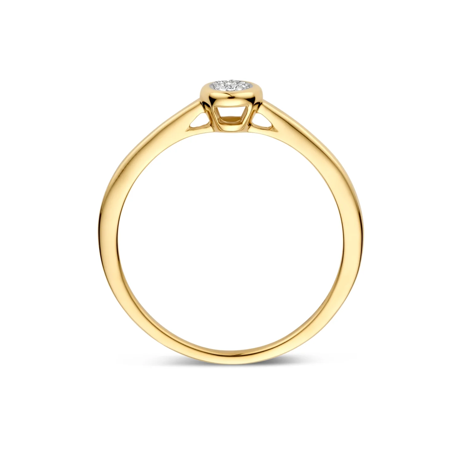 Blush Natural Diamonds 14 karat gold Ring 1679BDI/54 - Image 3