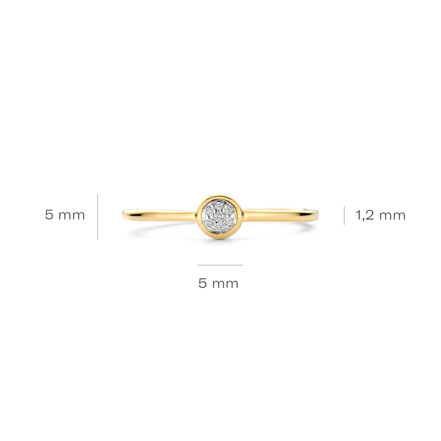 Blush Natural Diamonds 14 karat gold Ring 1679BDI/54 - Image 5