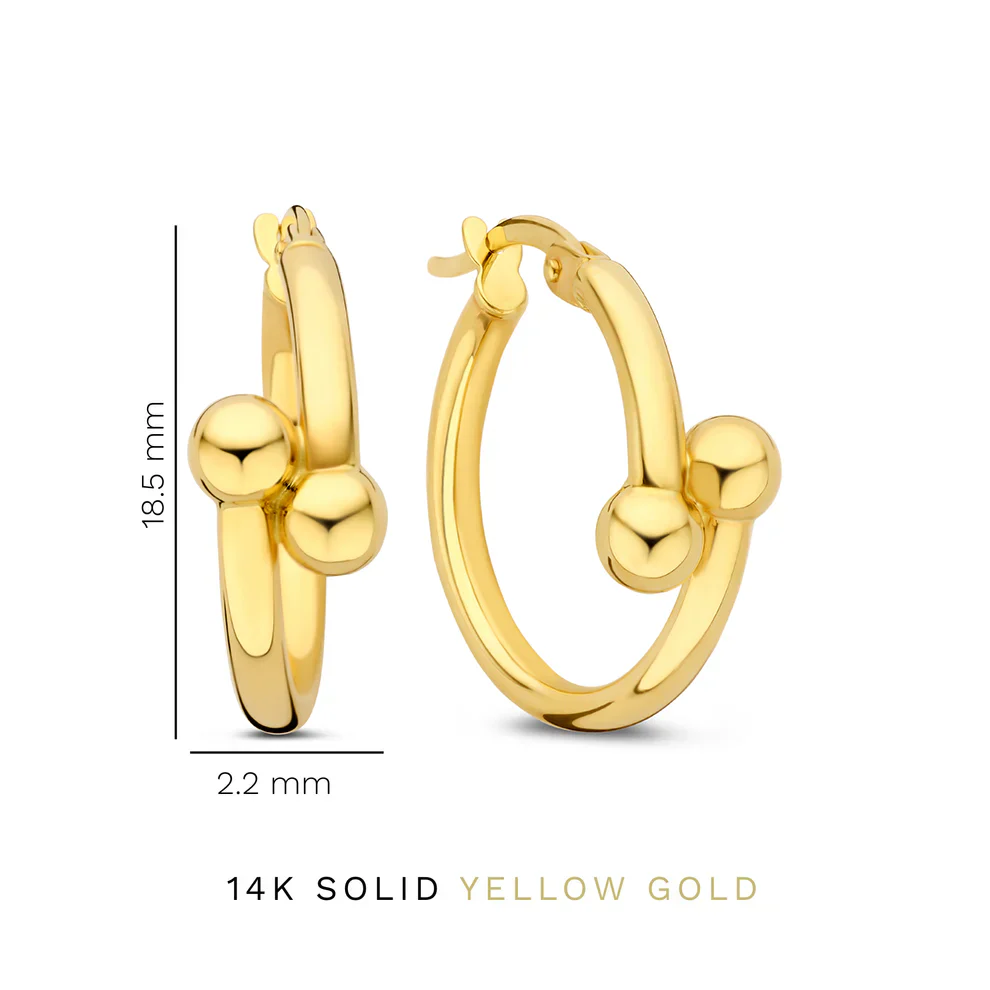 Isabel Bernard Monceau Mirell 14 Karat Gold Hoop Earrings IB360262 - Image 5