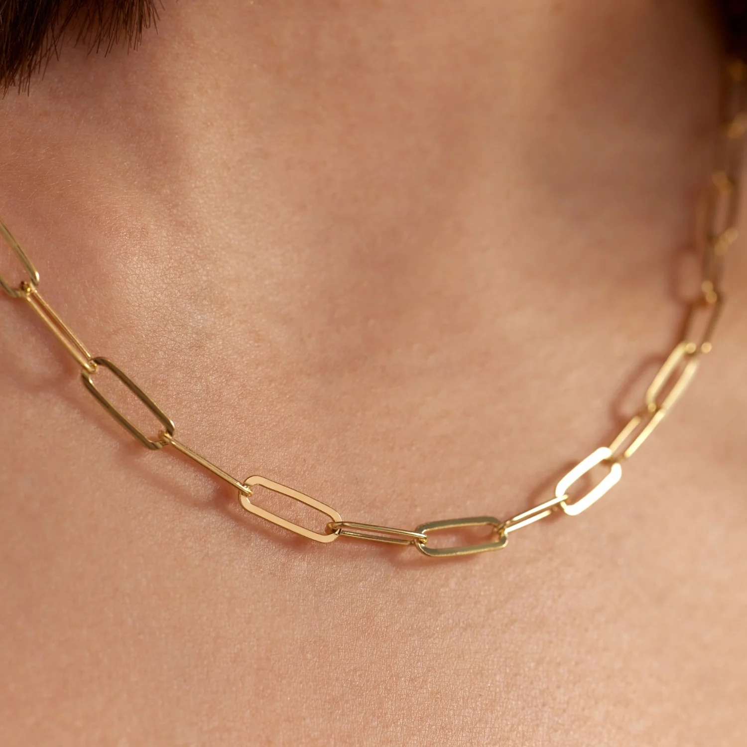 Parte Di Me Bibbiena Poppi Felice 925 Sterling Silver Gold Plated Schakel Necklace PDM34092 - Image 3